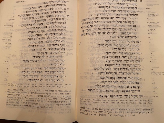 Christ in Old Testament image